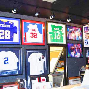 sports gallery (7)